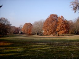 2003-11-10_Kleiner_Park